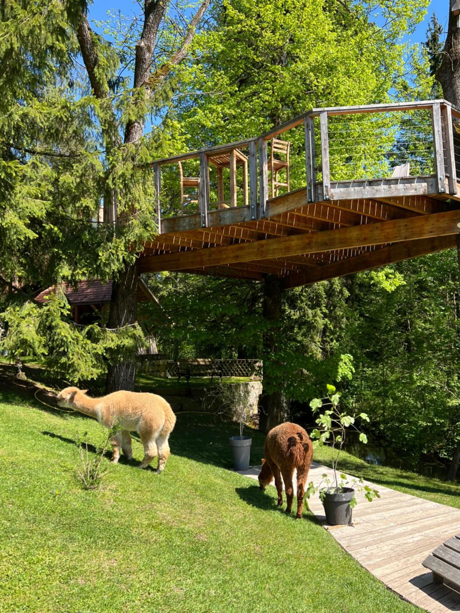 Apartments Kokl - Adults Only Radovljica Eksteriør billede
